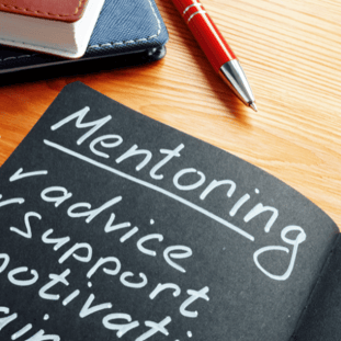 GIS_mentoring_checklist