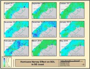 Hurricane Harvey Effect on SOL in SE coast