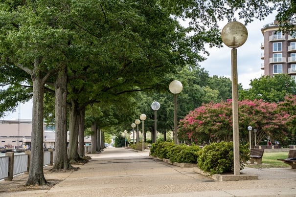 Tree lined path along the Anacostia Riverwalk in Southwest DC