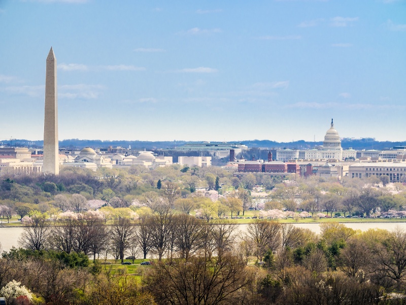skyline in Washington D.C.