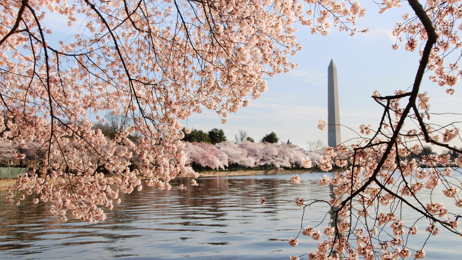 Washington DC