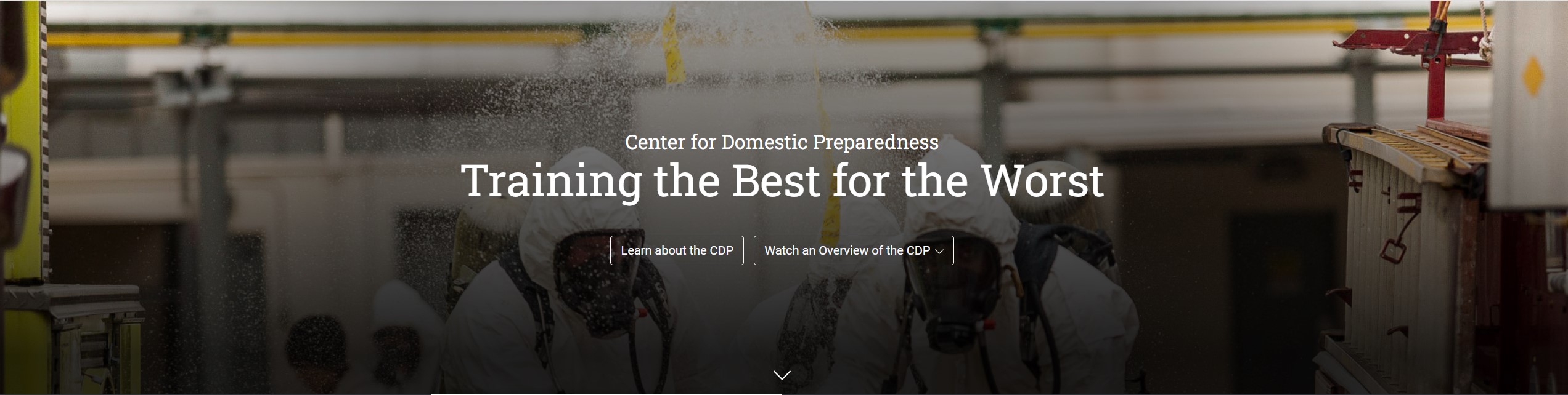 Screen capture of webpage