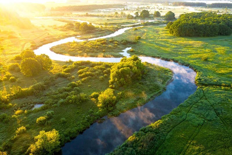environment